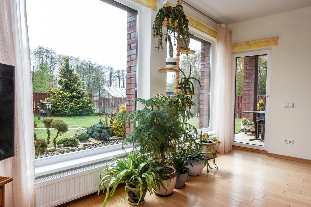 Apartamentai Pluke パランガ エクステリア 写真